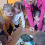 phoca_thumb_m_zajci a krmtko 37 Fotogalerie